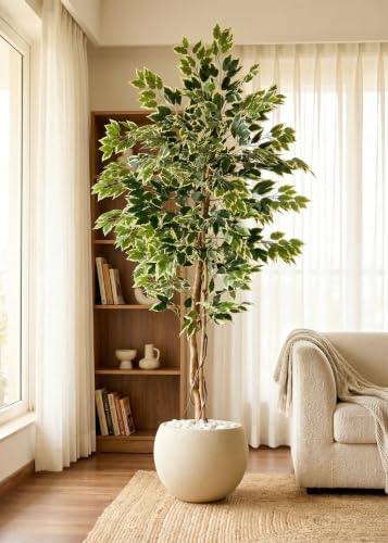 Image of MASON HOME Artificial Variegated Dried Ficus Plant Without Pot - 6.5 Feet | Realistic - Trees - Flowers | Indoor Tropical | Home - Shop - Office | Gifting - Decor - Ambience - Durable | No Maintenance