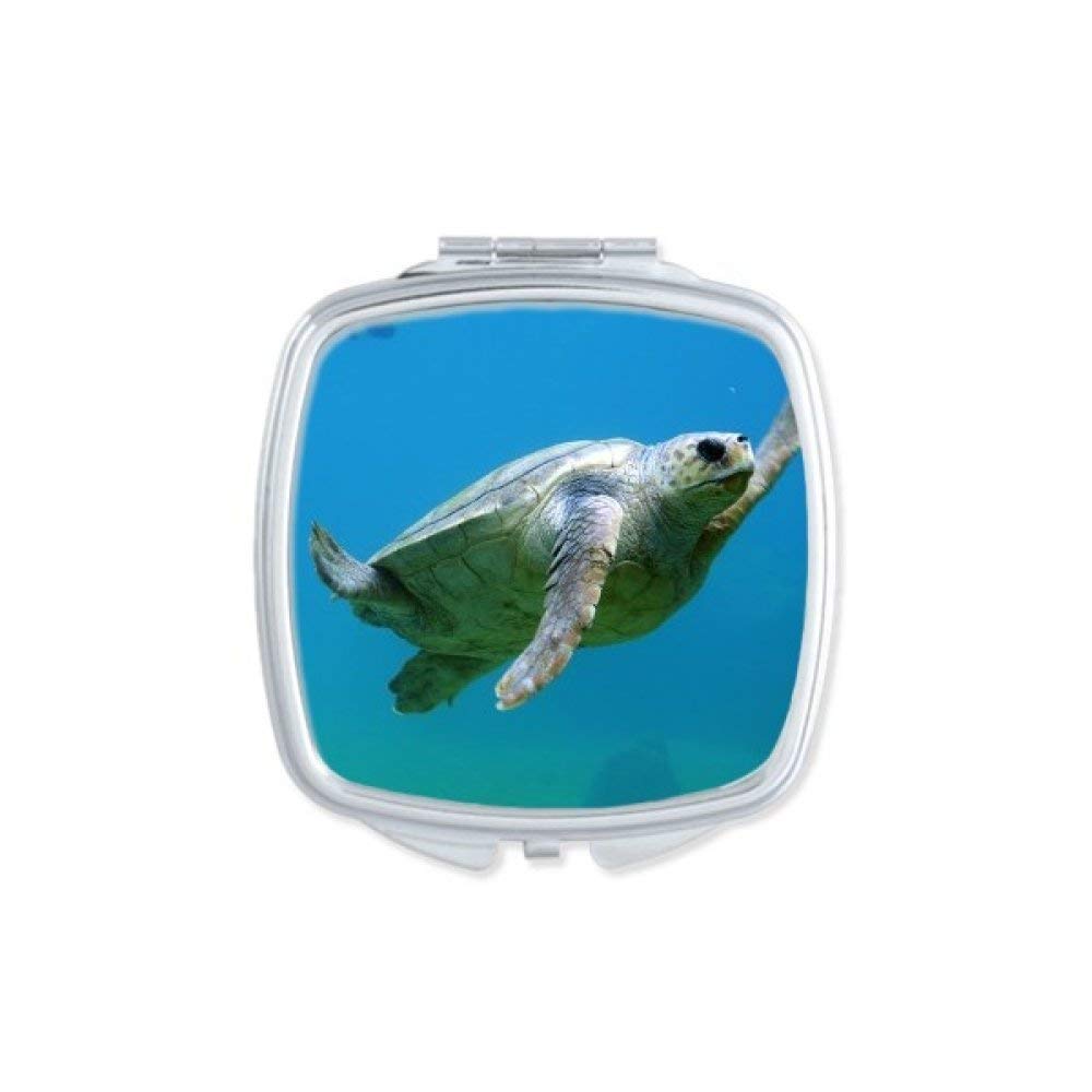 Miroir de poche tortue océanique pour retouches en voyage
