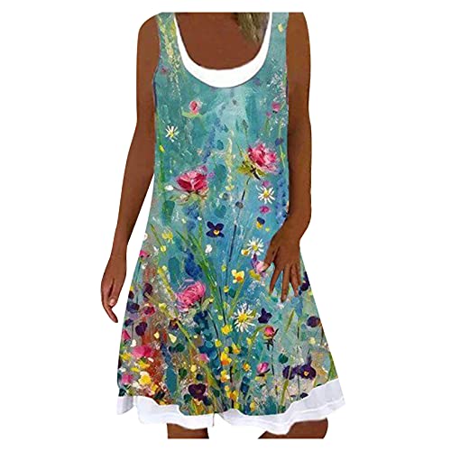 Summer Dresses for Women 2021,Womens Casual Print T Shirt Dress Sleeveless Crew Neck Midi Dress Plus Size Tank Dress
