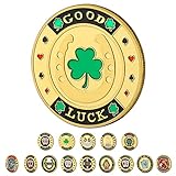 LuluCircle Poker Guard, Weights for Poker, Poker Gifts for Men, Poker Card Protector, Poker Accessor