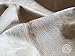 Sunshine Cowhides 100% Genuine Champagne Cowhide Rug - Modern Style Animal Skin Rug & Floor Carpet for Living Room, Bedroom, Kitchen & More - Extra Large (6x7-8 Ft.)