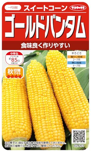 �T�J�^�̃^�l ������ �g�E�����R�V �S�[���h�o���^��