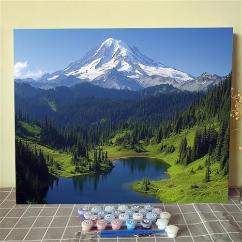 Pintar por numeros adultos sin saber dibujar con lienzo numerado de paisaje 50x70cm 2