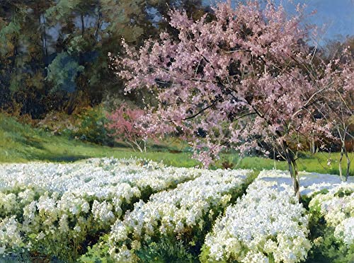 Tableau fleurs de printemps Iosif Krachkovsky poster vintage 60x90cm pour chambre