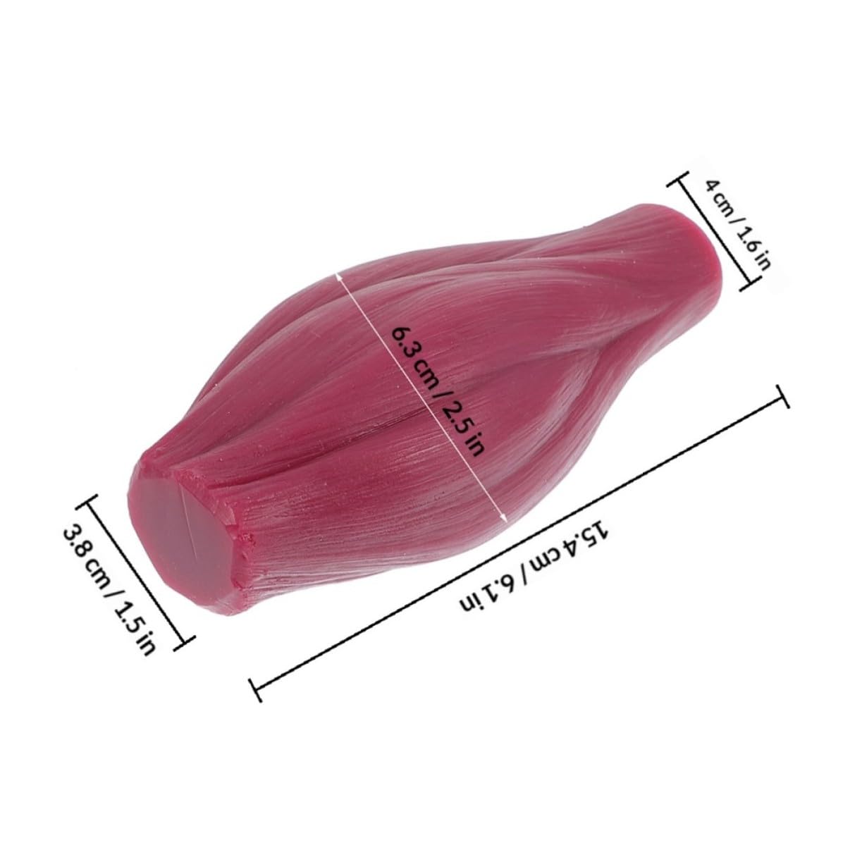 Modèle Musculaire Pédagogique 1 Lb en Silicone pour Enseignement | Modèle de Muscle Squelettique, Modèle de Corps Humain D'une Livre, Affichage et Démonstration Éducative