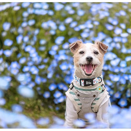 Image of Dog Collar-Cute Flower Adjustable Pet Collars Soft Comfortable Puppy Collar Blue Cotton Dog Collars Durable Necklace Gift for X-Small Dogs