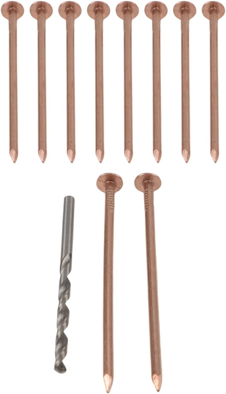 Nails Killing Trees Stump Roots, 3.15 Inch Pure Spikes with Drill Bit, Tree Removal Hardware Kit Garden Projects, 10 Pack