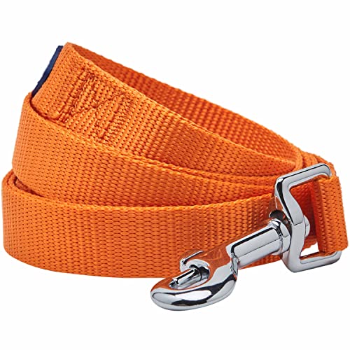 Blueberry Pet Essentials Durable Classic Dog Leash 4 ft x 1", Orange Vermilion, Large, Basic Nylon Leashes for Dogs