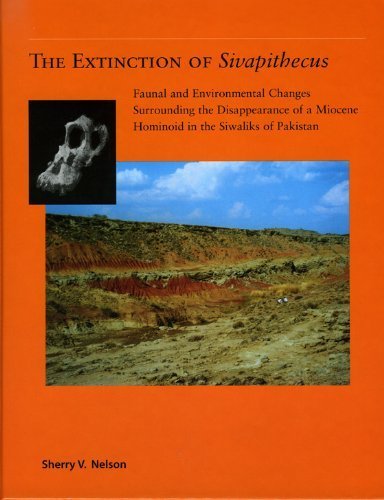 The Extinction of Sivapithecus: Faunal and Environmental Changes Surrounding the Disappearance of a Miocene Hominoid in the Siwaliks of Pakistan ... of Prehistoric Research Monograph Series, 1) by Nelson, Sherry V. (2003) Gebundene Ausgabe