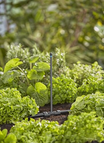 Gardena Micro-Drip-System Sprühdüse 360 Grad: Rundum-360 Grad-Sprühkopf, regulierbare und wassersparende Beregnung, flächendeckend, Sprühreichweite ca. 3 m (13322-20),Modern, Anthrazit, Türkis