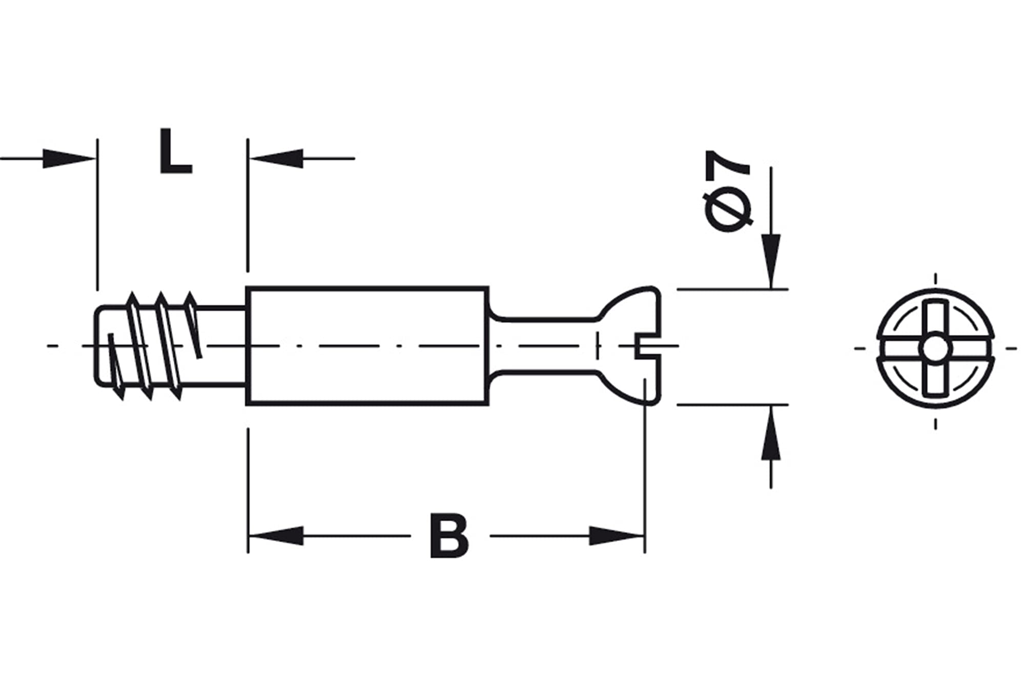 Exzenterbolzen 34mm S100 für Bohrloch-Ø5mm + Exzenterverbinder Minifix 15 (100)
