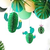 3 Tamaño: 25cm * 22.8cm, 21.8cm * 17cm, 15.5cm * 10cm (CACTUS 3D)