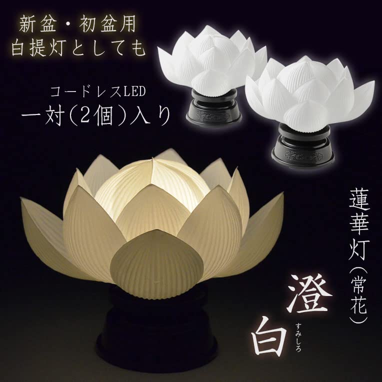 Amazon｜仏縁堂ブランド:国産盆提灯【霊前灯・蓮華灯（常華）：澄白 