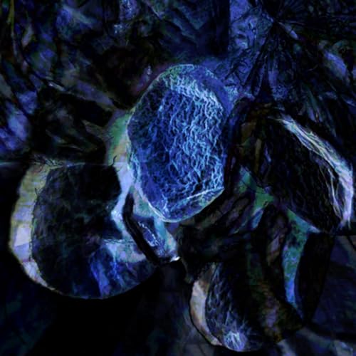 Darkness Cocooons (naviarhaiku638)