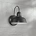 Urban Barn 11 1/4" High Black Indoor-Outdoor Wall Light