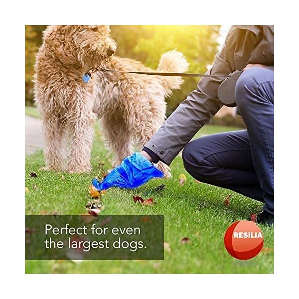 Resilia Commercial Grade Dog Poop Bags – Heavy Duty Pet Waste Removal Bag For Dogs, Cats, and Other Animals, Unscented, Blue, 1 Roll of 200 Bags Resilia Commercial Grade Dog Poop Bags – Heavy Duty Pet Waste Removal Bag For Dogs, Cats, and Other Animals, Unscented, Blue, 1 Roll of 200 Bags