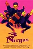 3 Ninjas Movie Poster Print (27 x 40)