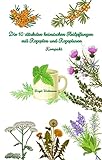  Die 10 stärksten heimischen Heilpflanzen mit Rezepten und Rezepturen: Kompakt (Naturheilkunde: Heilpflanzen und ihre Anwendungen - die Hausapotheke für den Alltag 4)