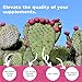 Nopal Cactus Capsules 1500mg- Organic Sun-Dried Prickly Pear Cactus Fruit Powder & Black Pepper Extract for Absorption- Natural Prickly Pear Super Supplement- Fiber, Vitamins and Minerals 240 Capsules