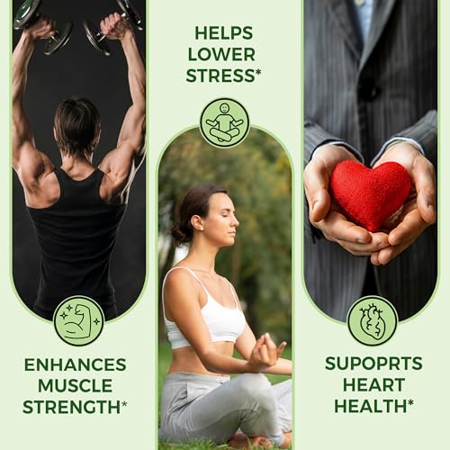 Image of Pure Nutrition Ashwagandha Powder 100g | Ashwagandha Supplements Supports Stress Management, Sleep, Fertility, Immunity, Vitality & Strength | Amukkara Kizhangu Choornam | USDA Organic Certified