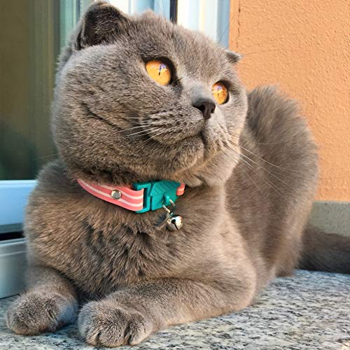 Image of Kittyrama Bermuda Cat Collar. Award Winning. As Seen in British Vogue. Other Styles and Colors Available. for Adult Cats