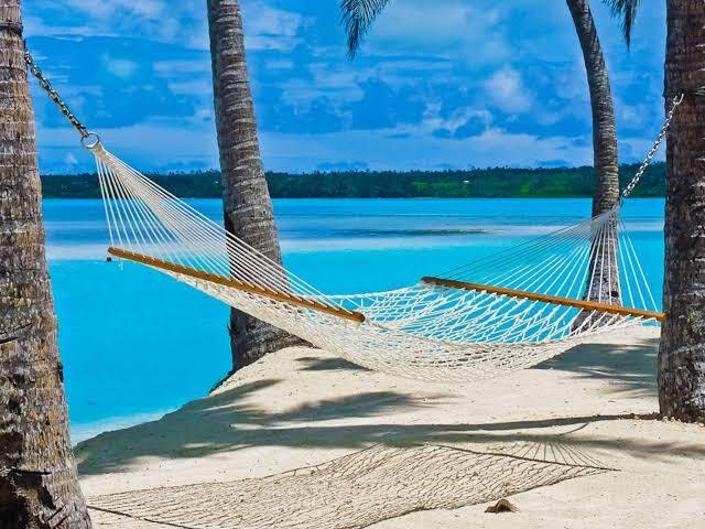 Hanielz Cotton Rope Hammock with Wooden Spreader Bars/Adults Swing for Single Person, 30 in Width