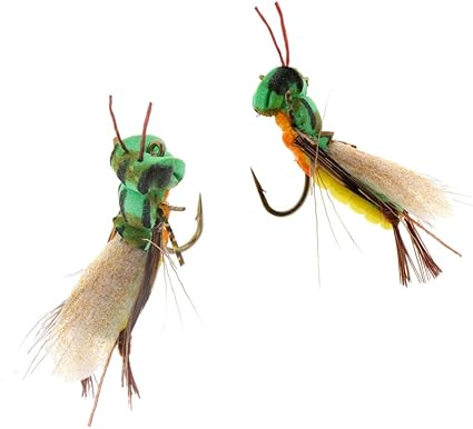 Peche truite sauterelle Clearance