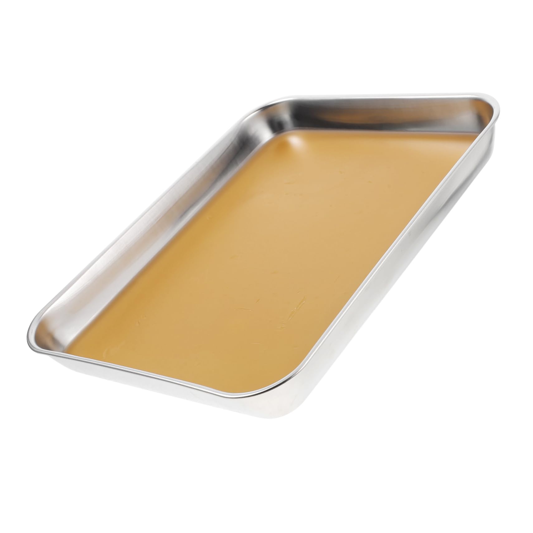 MAGICLULU Vassoio Metallico per Dissezione in Acciaio Inox Rivestimento in Cera, Adatto a Dissezioni e Uso Didattico in Laboratori di Biologia