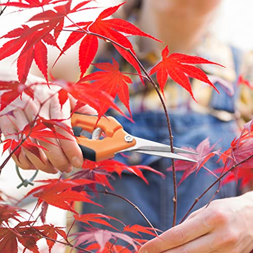 CIOUYAOS 2pcs Klein Gartenschere, Astschere Bonsai Schere Baumschere Ernteschere, Pruning Shears Garden Scissors für Bonsai Pflanzen Blumen Ernte Obst Gemüse