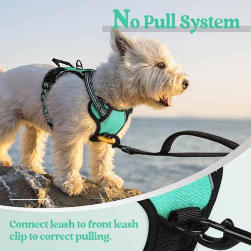Image of rabbitgoo Dog Harness No Pull with 2 Leash Clips, Adjustable Soft Padded, Reflective Oxford No Choke Pet Vest with Easy Control Handle for Puppy, Turquoise, XS