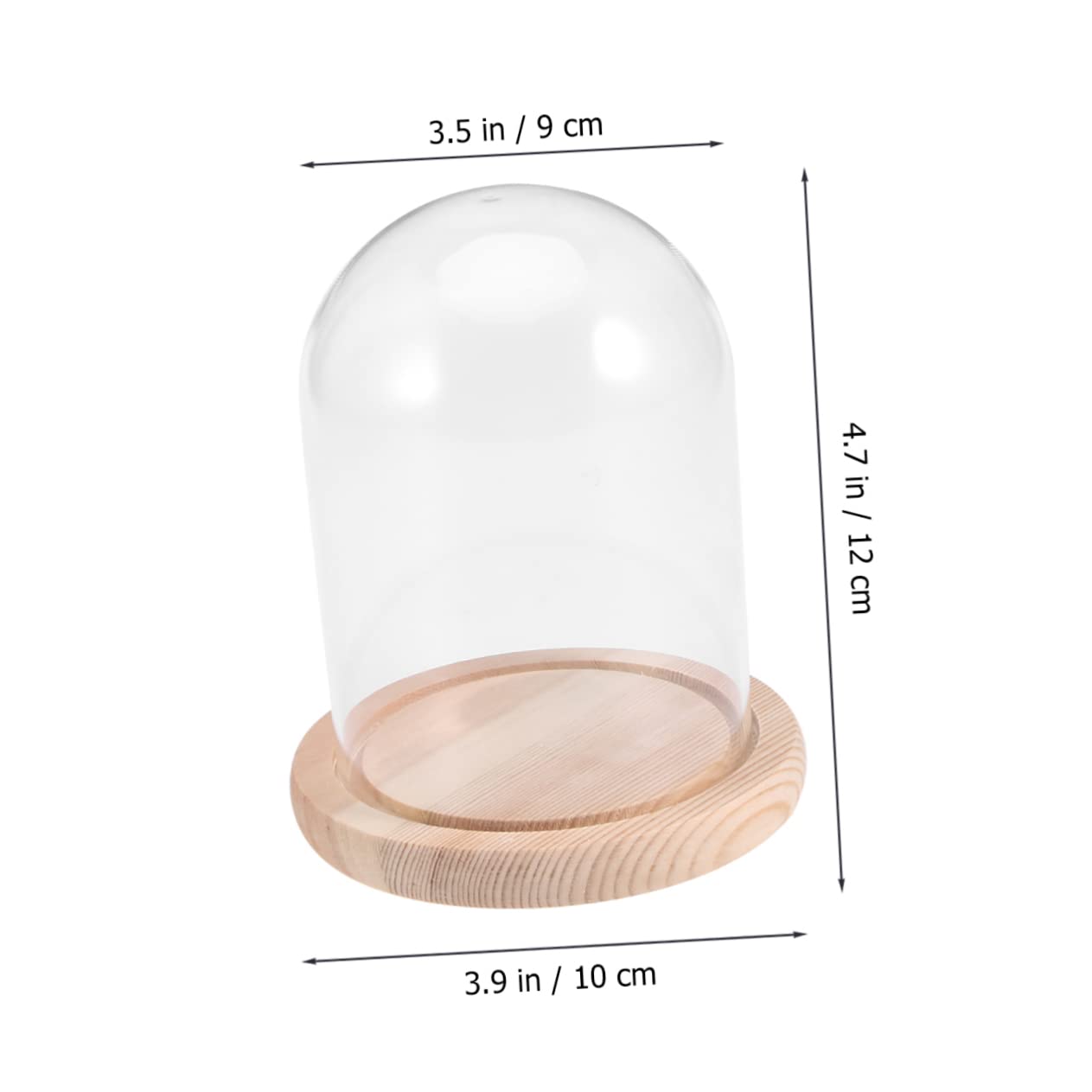 Veemoon 3 Pièces Mini Cloche En Verre Avec Socle En Bois Vitrine