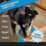 Pet Honesty Wild Alaskan Salmon Oil, Omega-3 Fish Oil for Dogs and cats, Fatty Acids, Salmon Oil for Dogs, Skin and Coat health, Pure Dog Food Topper, Supports Joints, Brain & Heart Health – 32oz