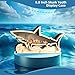 Shark Tooth Display Case - 8.8 Inch Wooden Shadow Box Holder for Collectors Perfect for Beach Decor and Gift