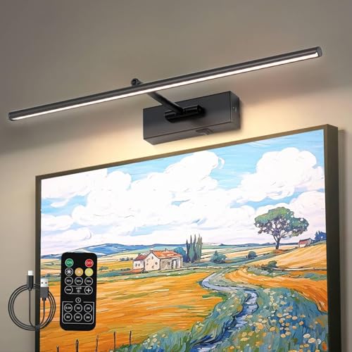 iYoee Picture Light for Wall, 5000mAh Rechargeable Wireless Remote,Black 24in Dimmable Timer LED Art Display Light with 3 Color Temperatures,or Gallery Artwork, Paintings, Photo, Portraits by iYoee - Used condition - US$41.19