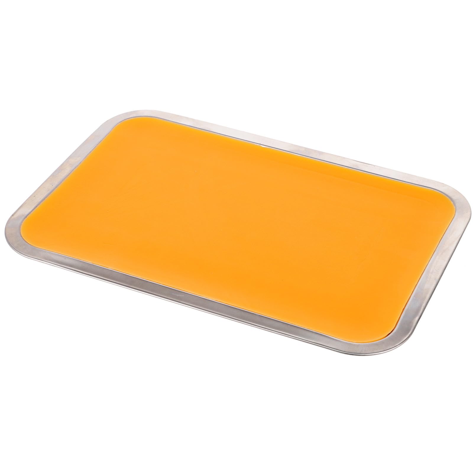 EXCEART Vassoio di Dissezione in Acciaio Inossidabile con Cera, Facile da Usare e Portatile, per Scopi Didattici e Taglio Carta, Dimensioni 21x31 Cm