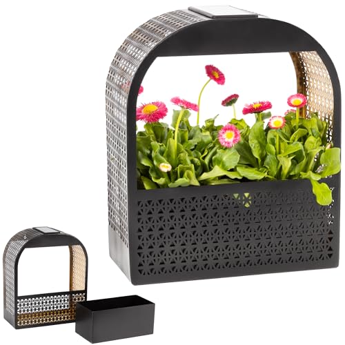 Gadgy Lámpara de Pared Solar con Maceta – Luz Solar de Pared con Jarrón Colgante e Iluminación LED Blanca Cálida – Decoración Resistente a la Intemperie para Balcón, Terraza o Jardín