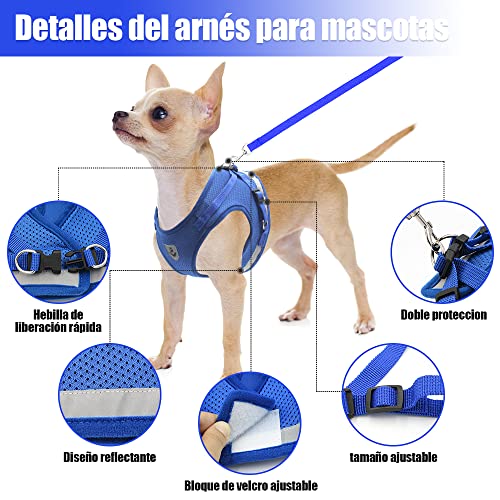 Correas para perros pequeños 30 Imagen adicional