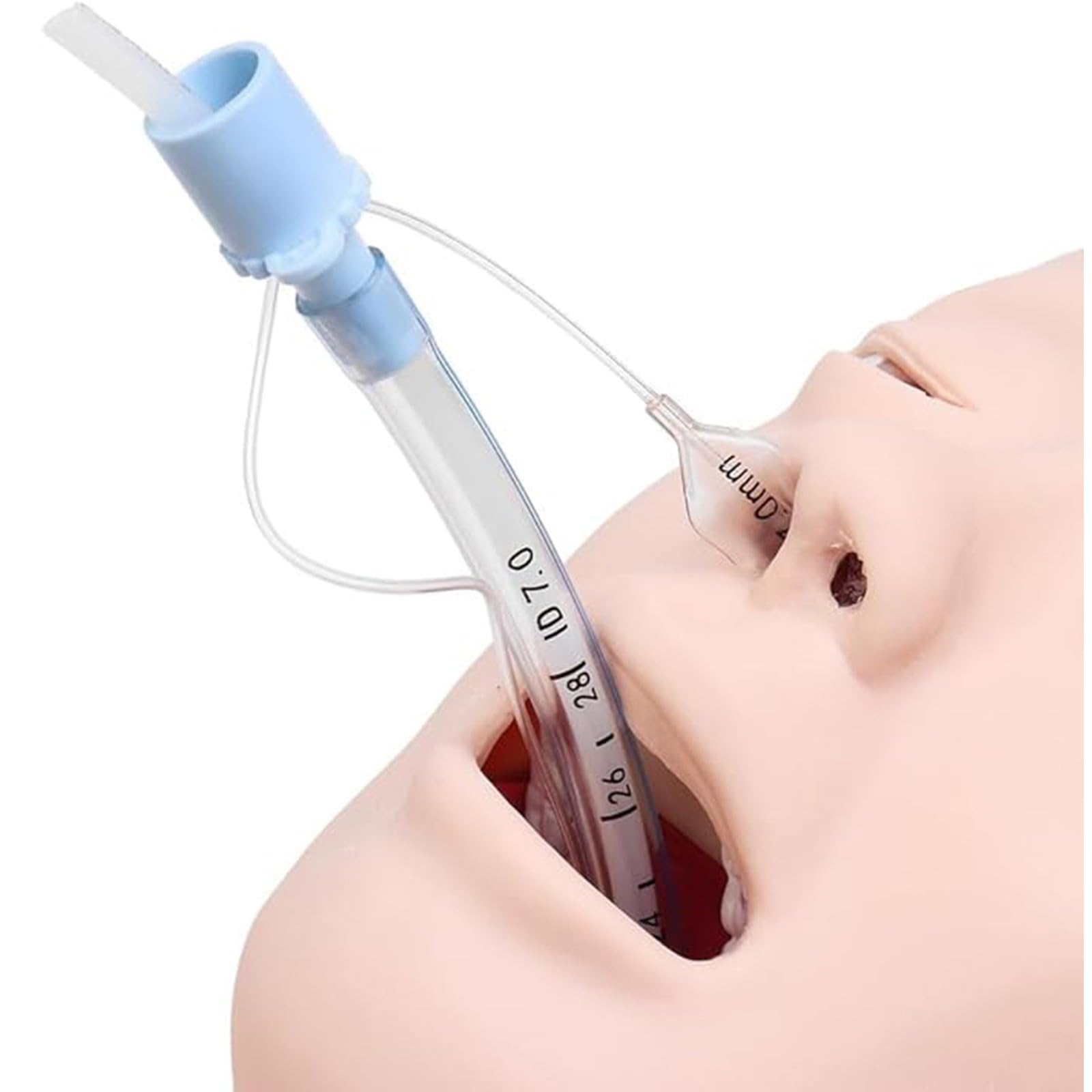 Manichino Adulto Di Addestramento Di Intubazione Manichino Delle Vie Aeree Modello Manichino Di Intubazione Adulto Del PVC, Educazione Del Laboratorio Scientifico A