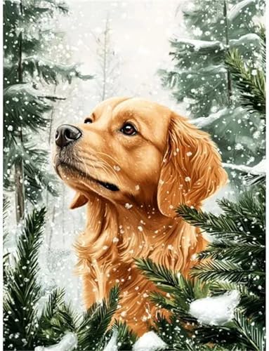 Jiian Diamond Painting Winter-Golden Retriever,Diamant Painting Bilder für Erwachsene Kinder,5D Diamant Painting Set DIY Square Diamant Kunst Stickerei Malerei für Wohnzimmer Dekoration 30x40cm