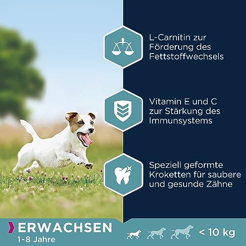 Eukanuba Hundefutter mit frischem Huhn für kleine Rassen