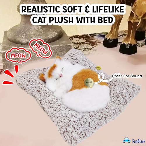 Image of FunBlast Cute Sleeping Cat Plush Toy with Meow Sound, Gift for Kids, Toy Accessories for Car Dashboard (Brown-2)