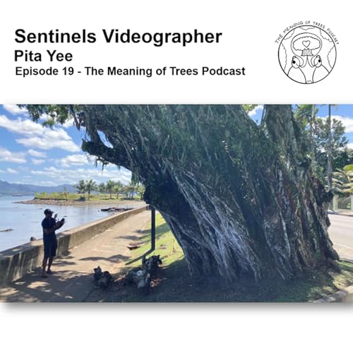 『SENTINELS Videographer - Pita Yee - @woahstudiosfj - E19』のカバーアート
