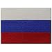 Russland Flagge Russische Föderation Nationales Emblem Bestickter Aufnäher zum Aufbügeln/Annähen