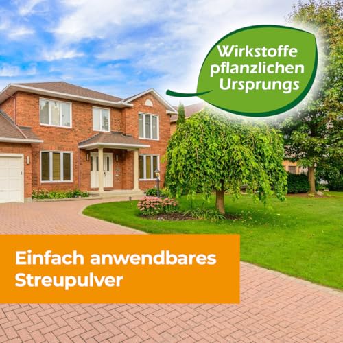 PROTECT HOME Ratten & Mäuse Blocker vertreibt Ratten und Mäuse zuverlässig mit sofortiger Wirkung und bis zu 2 Monate Dauerwirkung, 300 g