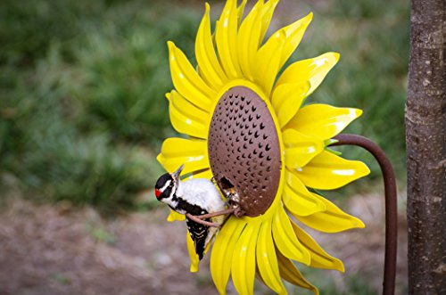 Desert Steel 409-103 Sunflower Feeder – Metal Yard Art/Bird Seedfeeder, 42 x 14 x 14