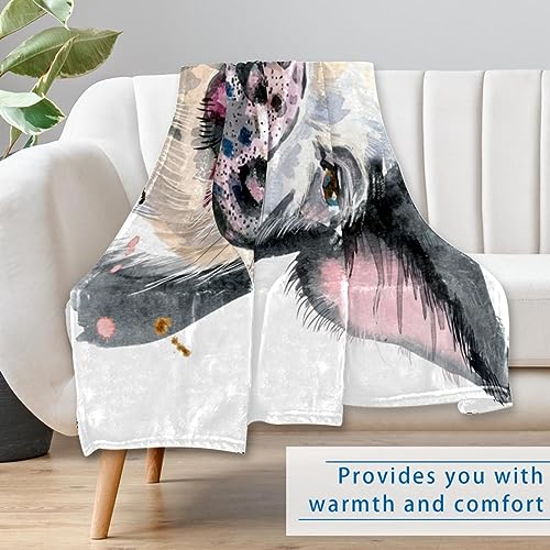 Couverture douce et chaude plaid pois noirs lit canapé plage