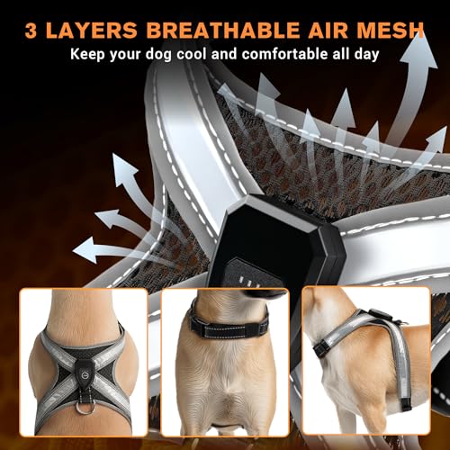 LED Leuchtgeschirr für Hunde - Aufladbar & Reflektierend Hundegeschirr, 3-Lagiges Air Mesh für Atmungsaktivität & Komfort, Verstellbar für Mittelgroße bis Große Hunde, Nachtsicherheit für Spaziergänge
