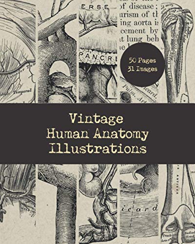 Vintage Human Anatomy Illustrations: Antique Medical Book Drawings of Organs,