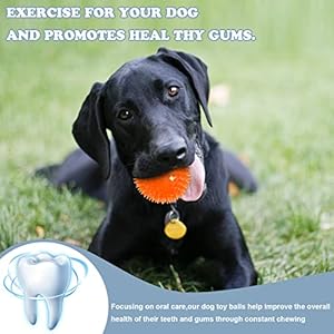 12Pack Squeaky Dog Toys,2.5″ Spiky Dog Ball,Dog Spiky Ball Cleans Teeth Pet Toys,Squeaky Dog Balls for Aggressive Chewers,TPR Rubber Puppy Toys,Bright Color Dog Chew Toys for Small Medium & Large Dogs