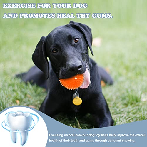 12Pack Squeaky Dog Toys,2.5″ Spiky Dog Ball,Dog Spiky Ball Cleans Teeth Pet Toys,Squeaky Dog Balls for Aggressive Chewers,TPR Rubber Puppy Toys,Bright Color Dog Chew Toys for Small Medium & Large Dogs 12Pack Squeaky Dog Toys,2.5″ Spiky Dog Ball,Dog Spiky Ball Cleans Teeth Pet Toys,Squeaky Dog Balls for Aggressive Chewers,TPR Rubber Puppy Toys,Bright Color Dog Chew Toys for Small Medium & Large Dogs